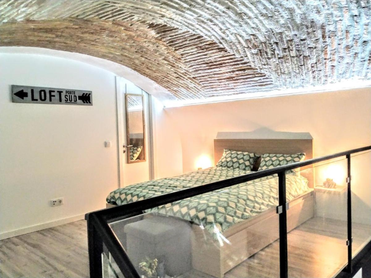 Loft Porte Sud Appartement *